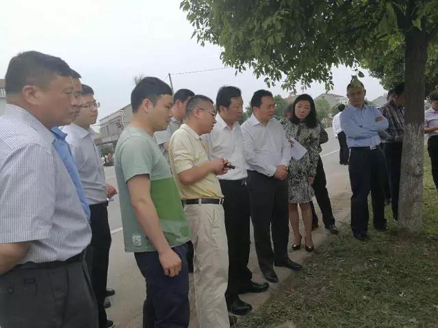 咸宁市委副书记、市长王远鹤带队调研嘉鱼产业新城